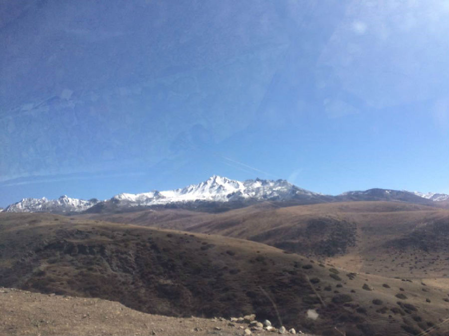 【追求卓越品质进行时】：我为绿巨人视频下载冷链“添薪火”